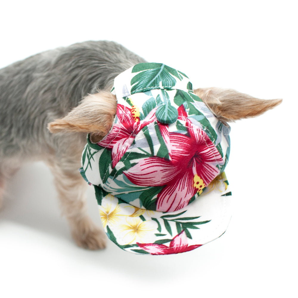 DOGO | Tropical Island Hat Apparel DOGO   