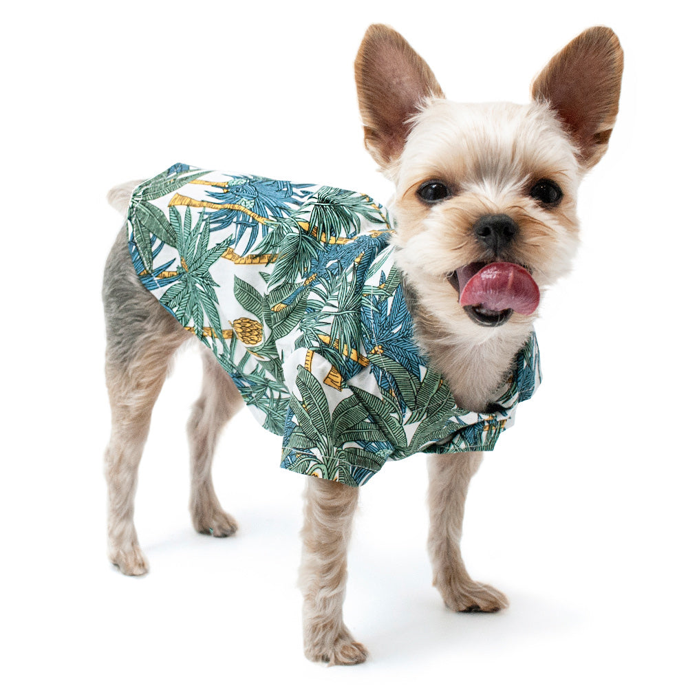 DOGO | Tropical Leaf Shirt Apparel DOGO   