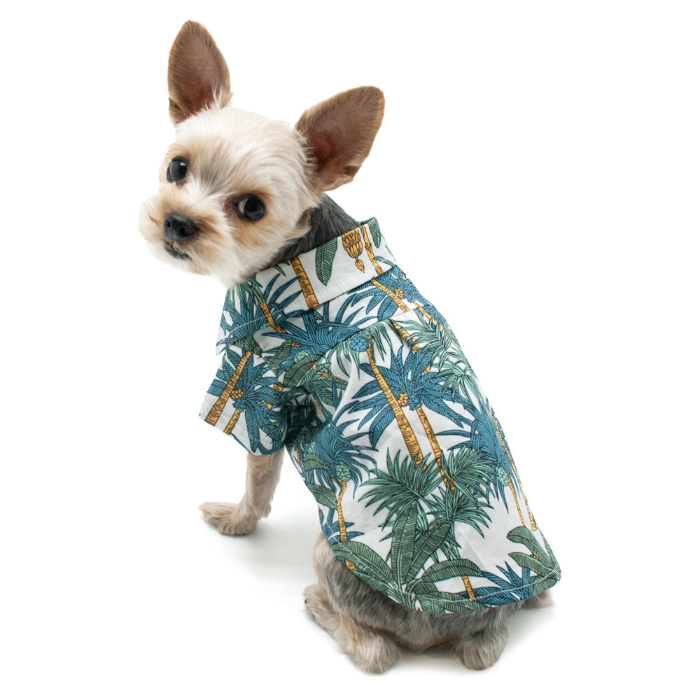 DOGO | Tropical Leaf Shirt Apparel DOGO   