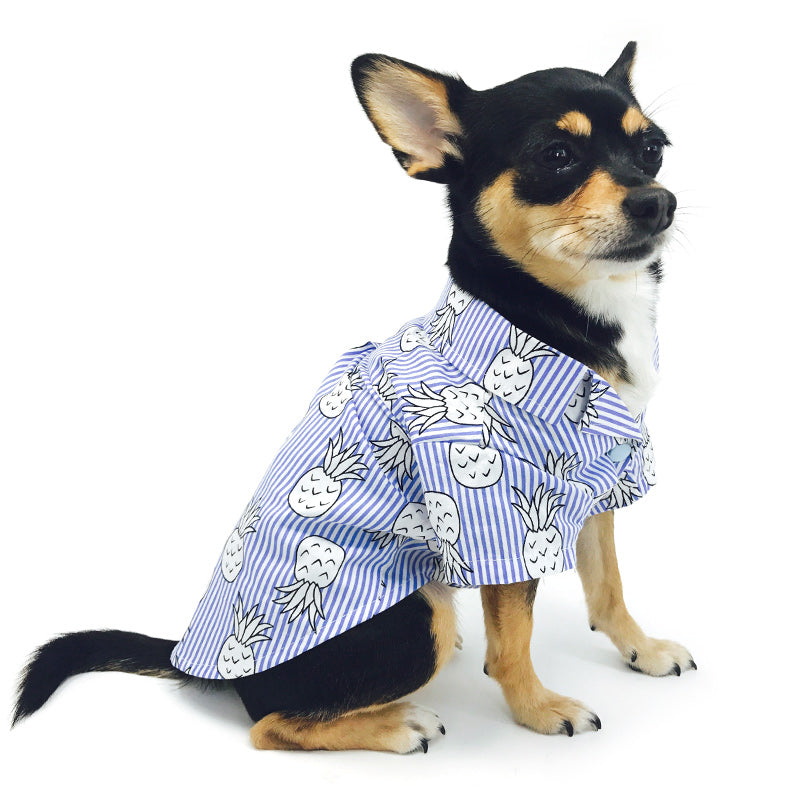 DOGO | Pineapple Shirt in Blue Apparel DOGO   