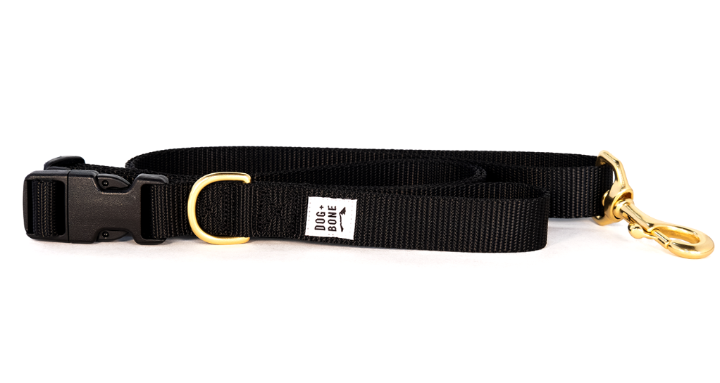 DOG + BONE | Adjustable Leash in Black Leash DOG + BONE   