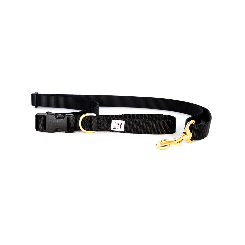 DOG + BONE | Adjustable Leash in Black Leash DOG + BONE   