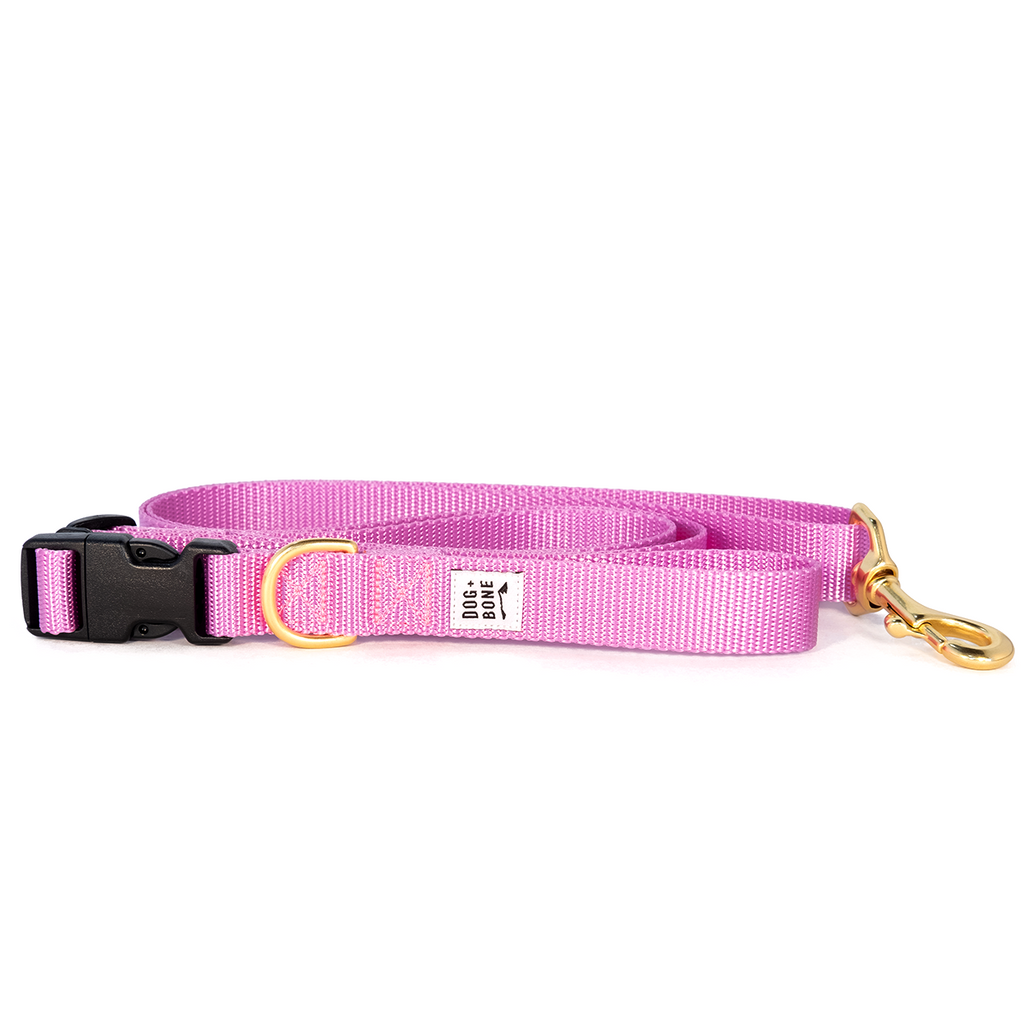 DOG + BONE | Adjustable Leash in Orchid Leash DOG + BONE   