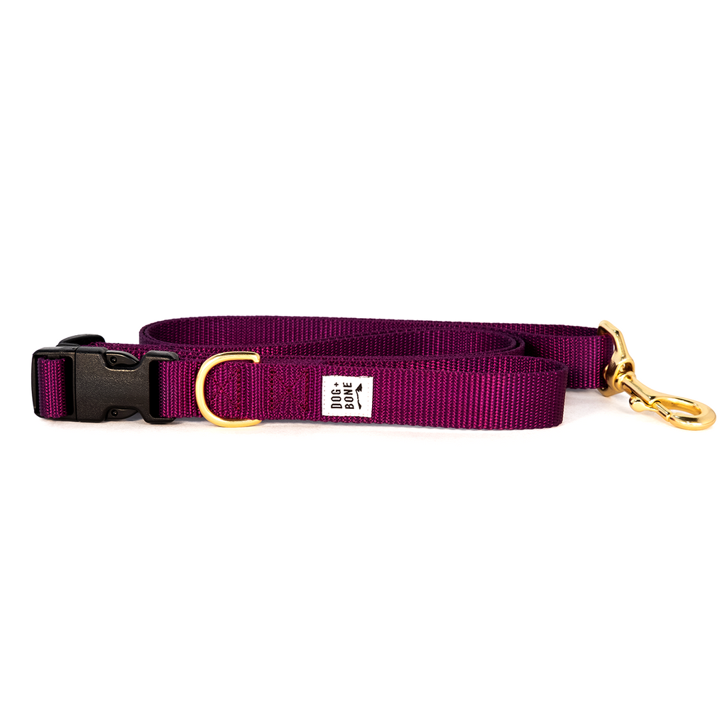 DOG + BONE | Adjustable Leash in Purple Leash DOG + BONE   