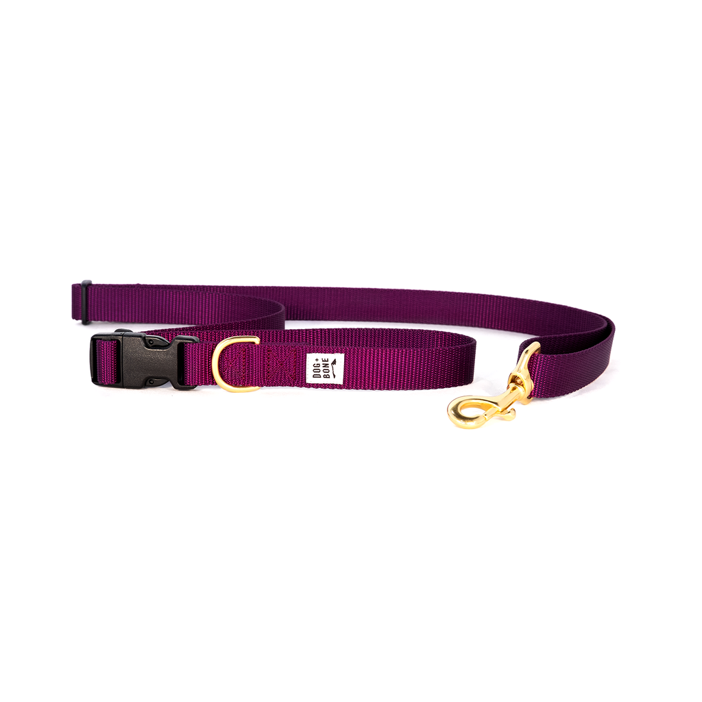 DOG + BONE | Adjustable Leash in Purple Leash DOG + BONE   