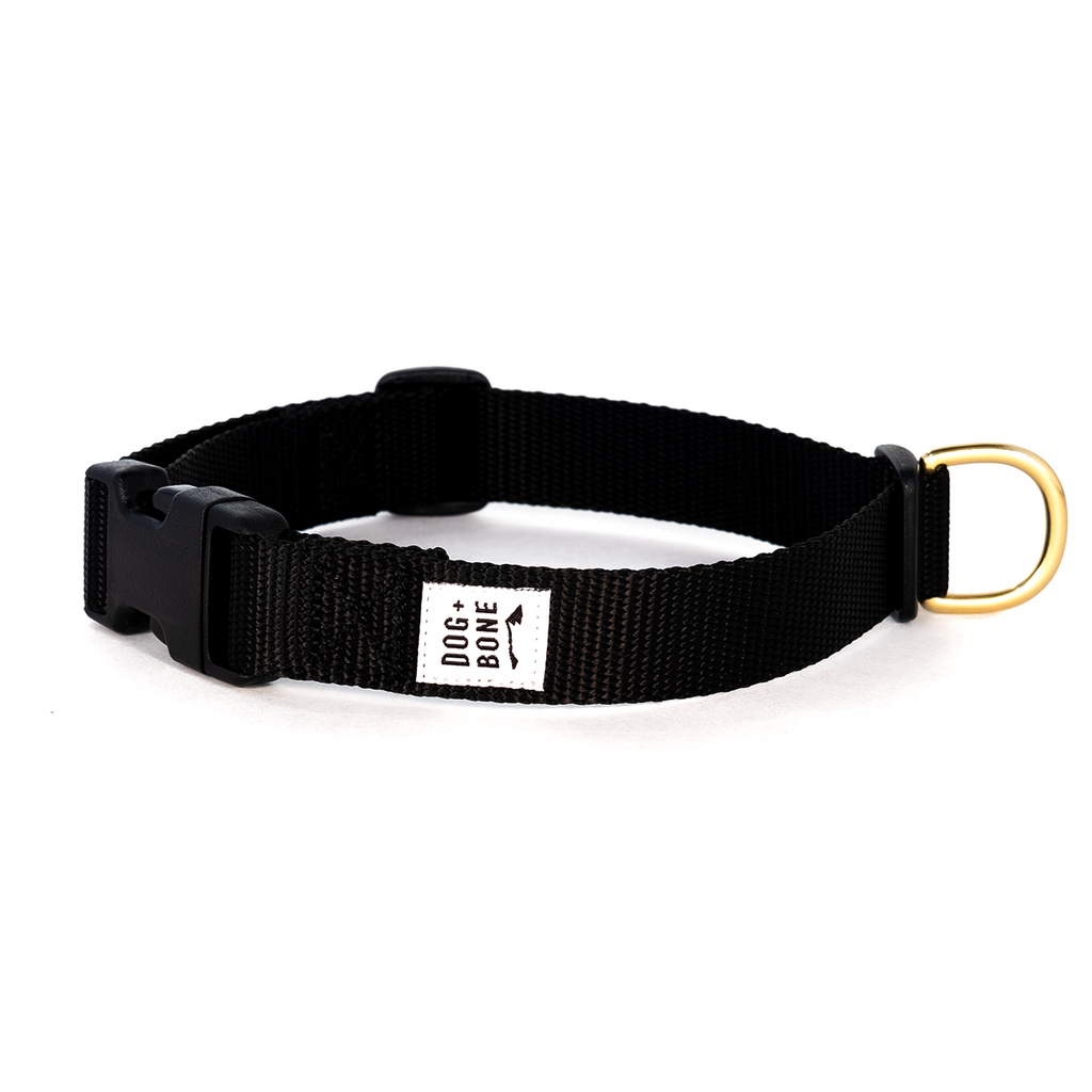 DOG + BONE | Snap in Collar in Black Collar DOG + BONE   