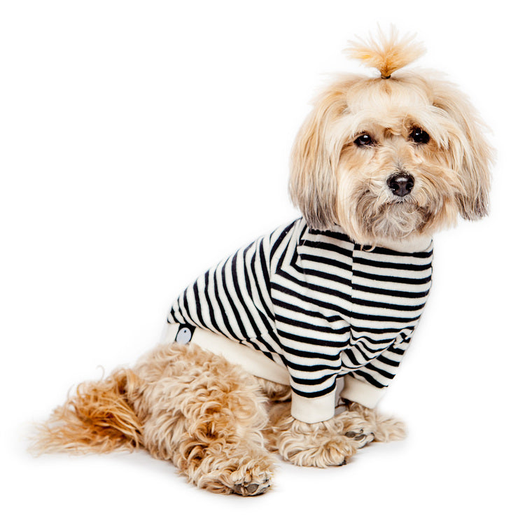 DOG & CO. | Cheeky Stripe Pullover in Black & White Apparel DOG & CO. COLLECTION   