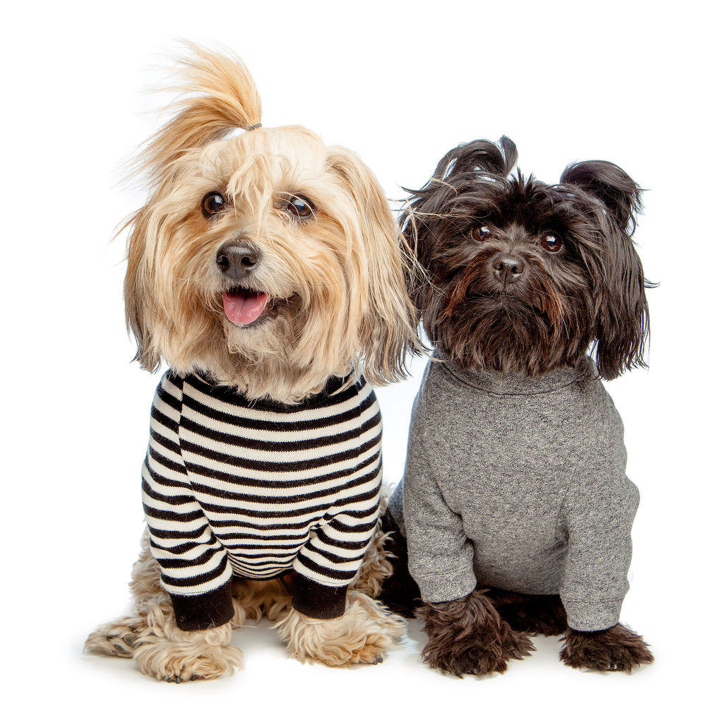 Cheeky Stripe Pullover in Black & White with Black Trim Wear DOG & CO. COLLECTION   