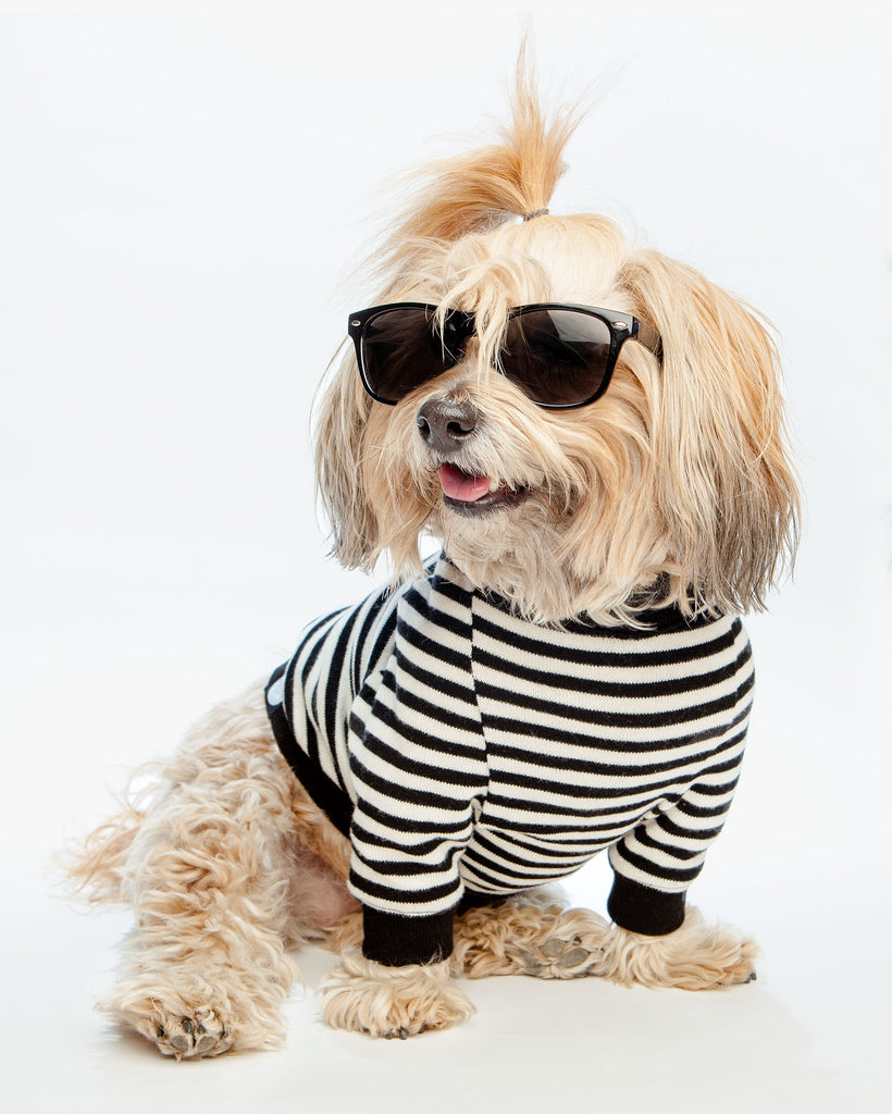 Cheeky Stripe Pullover in Black & White with Black Trim Wear DOG & CO. COLLECTION   