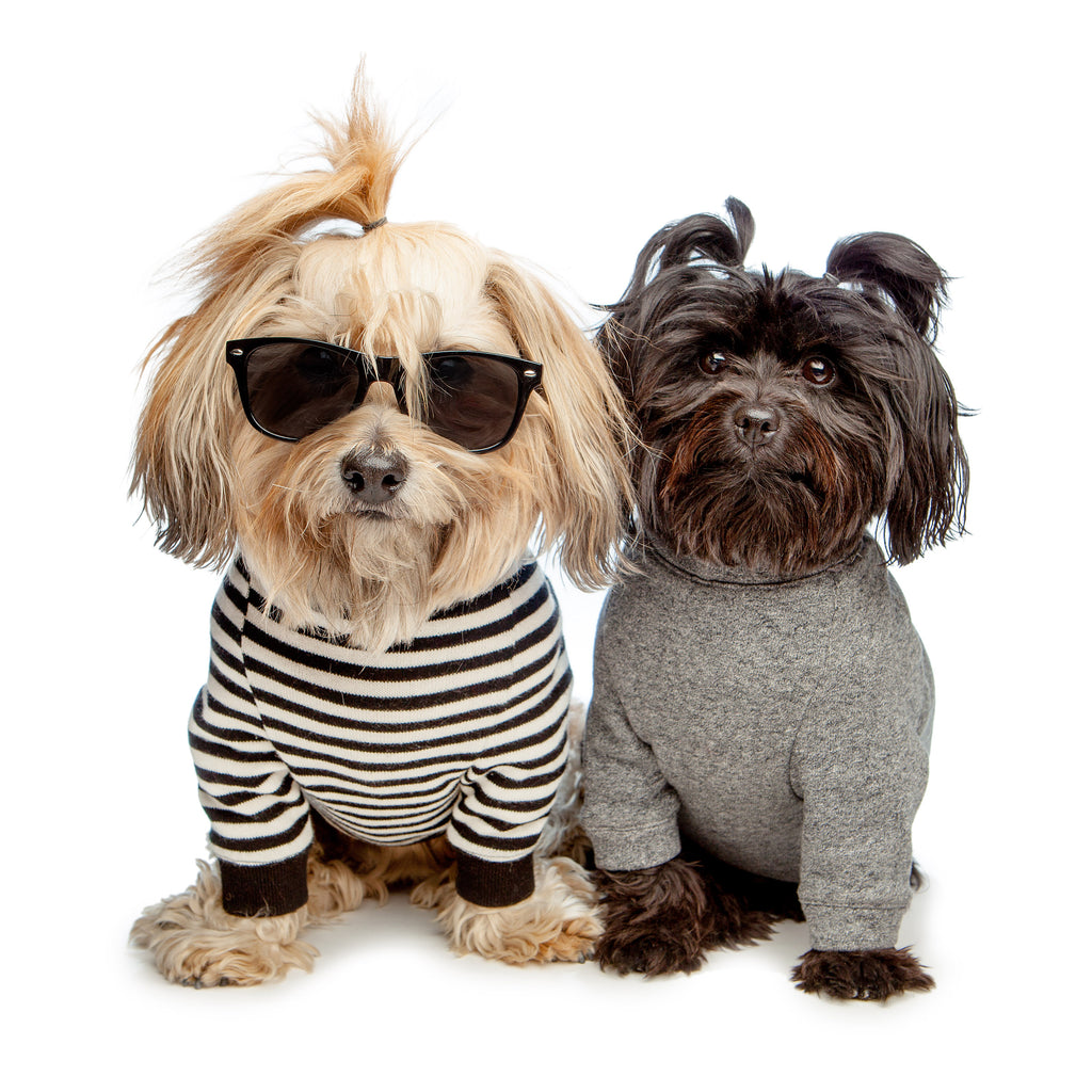 Cheeky Stripe Pullover in Black & White with Black Trim Wear DOG & CO. COLLECTION   