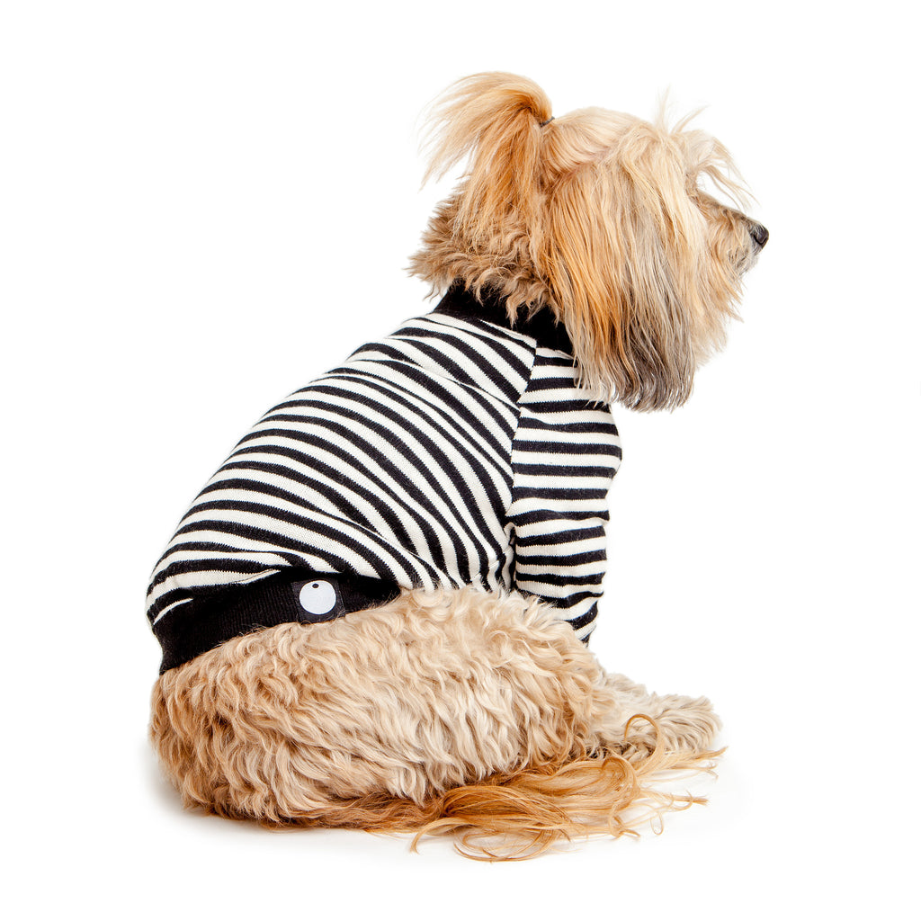 Cheeky Stripe Pullover in Black & White with Black Trim Wear DOG & CO. COLLECTION   