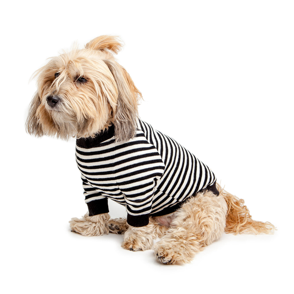 Cheeky Stripe Pullover in Black & White with Black Trim Wear DOG & CO. COLLECTION   