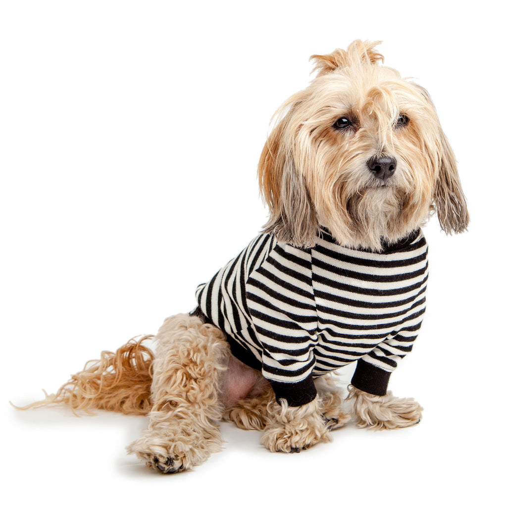 Cheeky Stripe Pullover in Black & White with Black Trim Wear DOG & CO. COLLECTION   