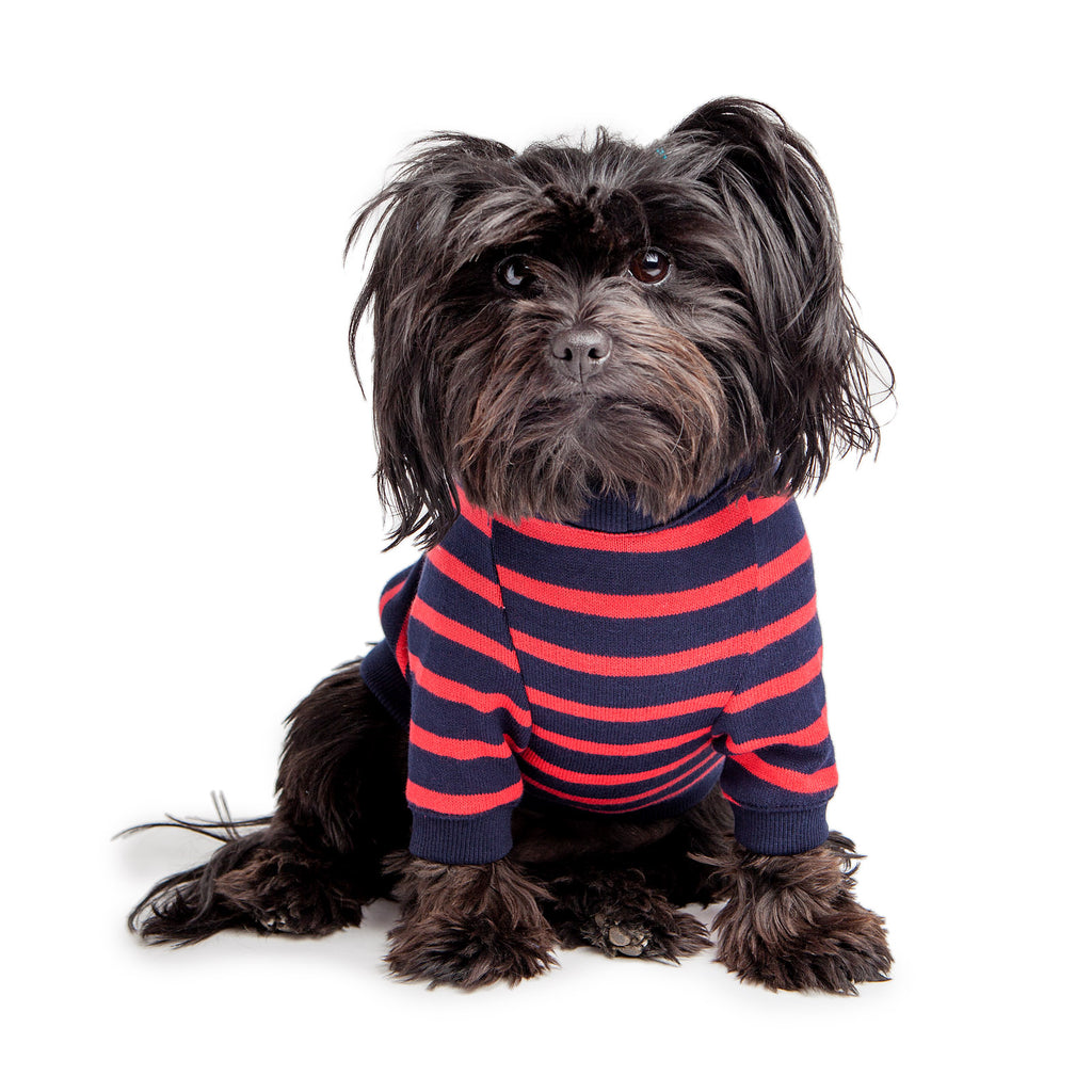 DOG & CO. | Cheeky Stripe Pullover in Navy & Red Small Stripe Apparel DOG & CO. COLLECTION   