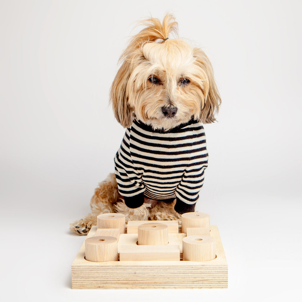 DOG & CO. | Cheeky's Challenge Treat Game Play DOG & CO. COLLECTION   