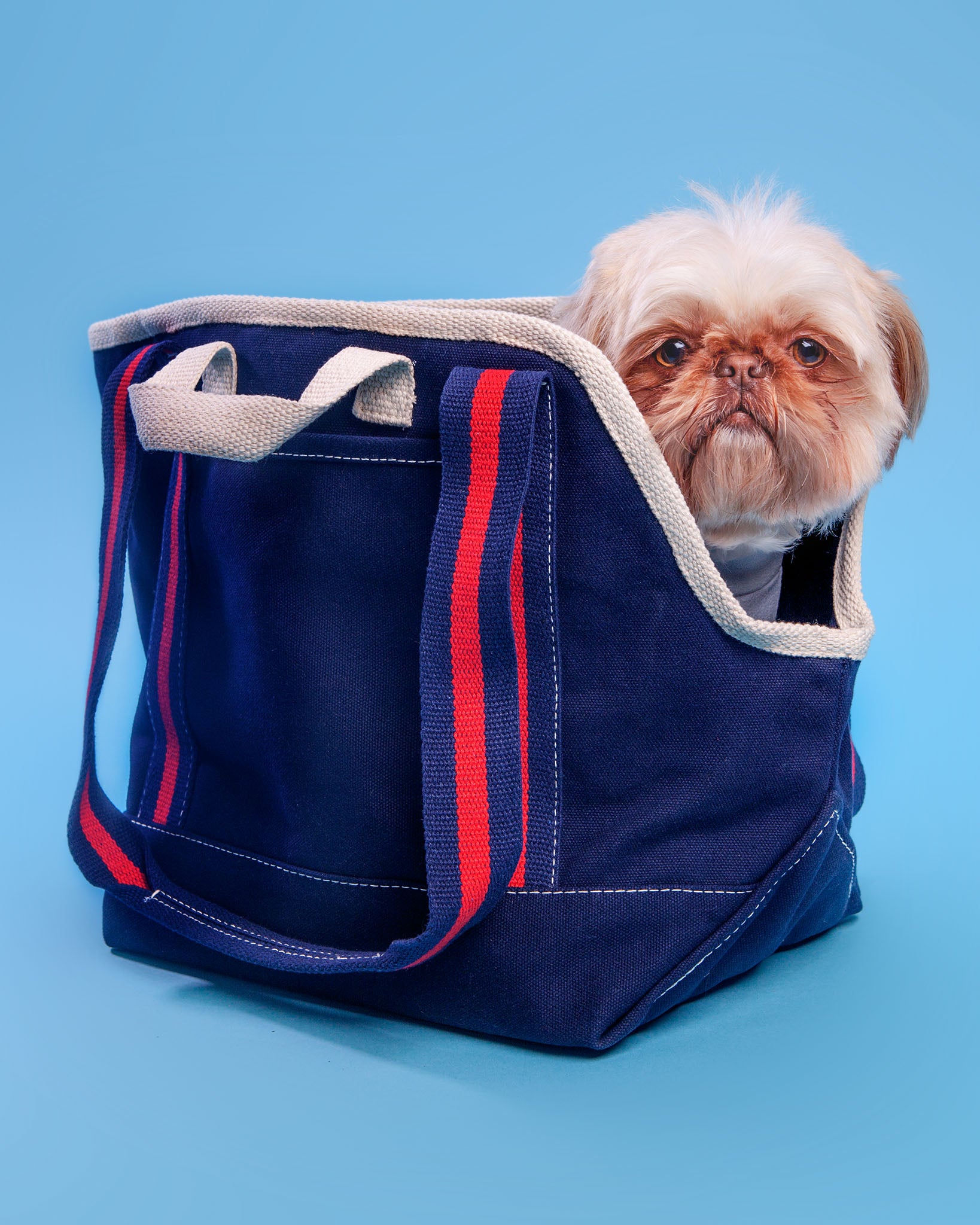 DOG CO. COLLECTION City Carrier Bag in Size 1 Black Canvas or Navy Canvas DOG CO