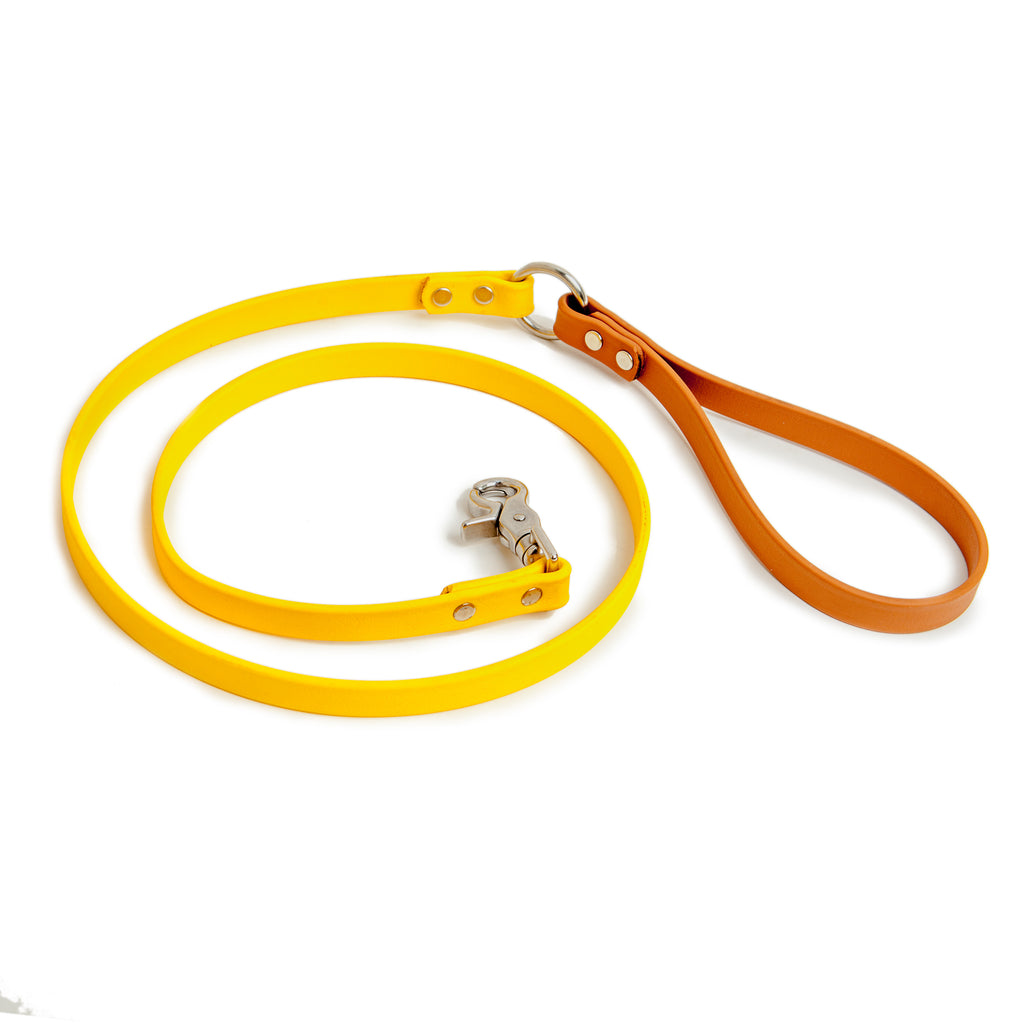 City Leash in Gold & Tan (FINAL SALE) WALK DOG & CO. COLLECTION   