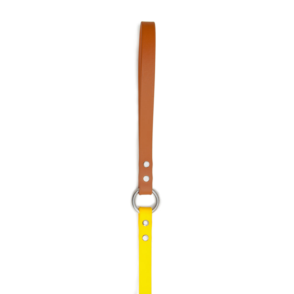 City Leash in Gold & Tan (FINAL SALE) WALK DOG & CO. COLLECTION   