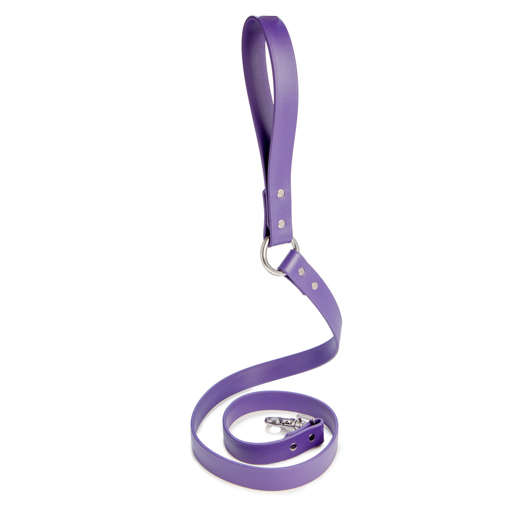 City Leash in Royal Purple (FINAL SALE) WALK DOG & CO. COLLECTION   