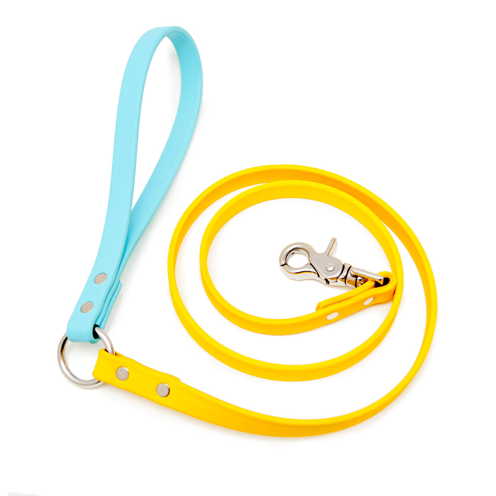 DOG & CO. | City Leash in Yellow and Blue Leash DOG & CO. COLLECTION   