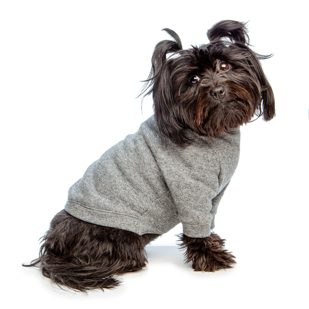 DOG & CO. | Crewneck Sweatshirt in Charcoal Grey Apparel DOG & CO. COLLECTION   