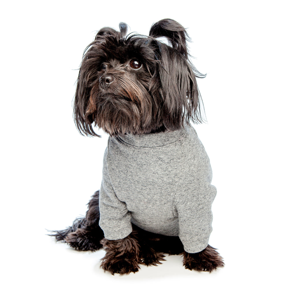 DOG & CO. | Crewneck Sweatshirt in Charcoal Grey Apparel DOG & CO. COLLECTION   