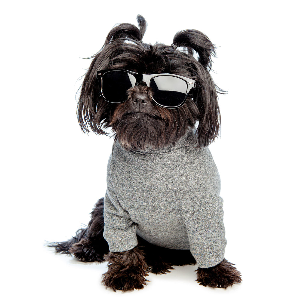 DOG & CO. | Crewneck Sweatshirt in Charcoal Grey Apparel DOG & CO. COLLECTION   