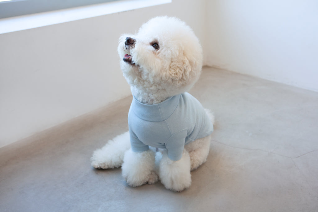 Basic Turtleneck in Light Blue (FINAL SALE) Apparel DENTISTS APPOINTMENT   