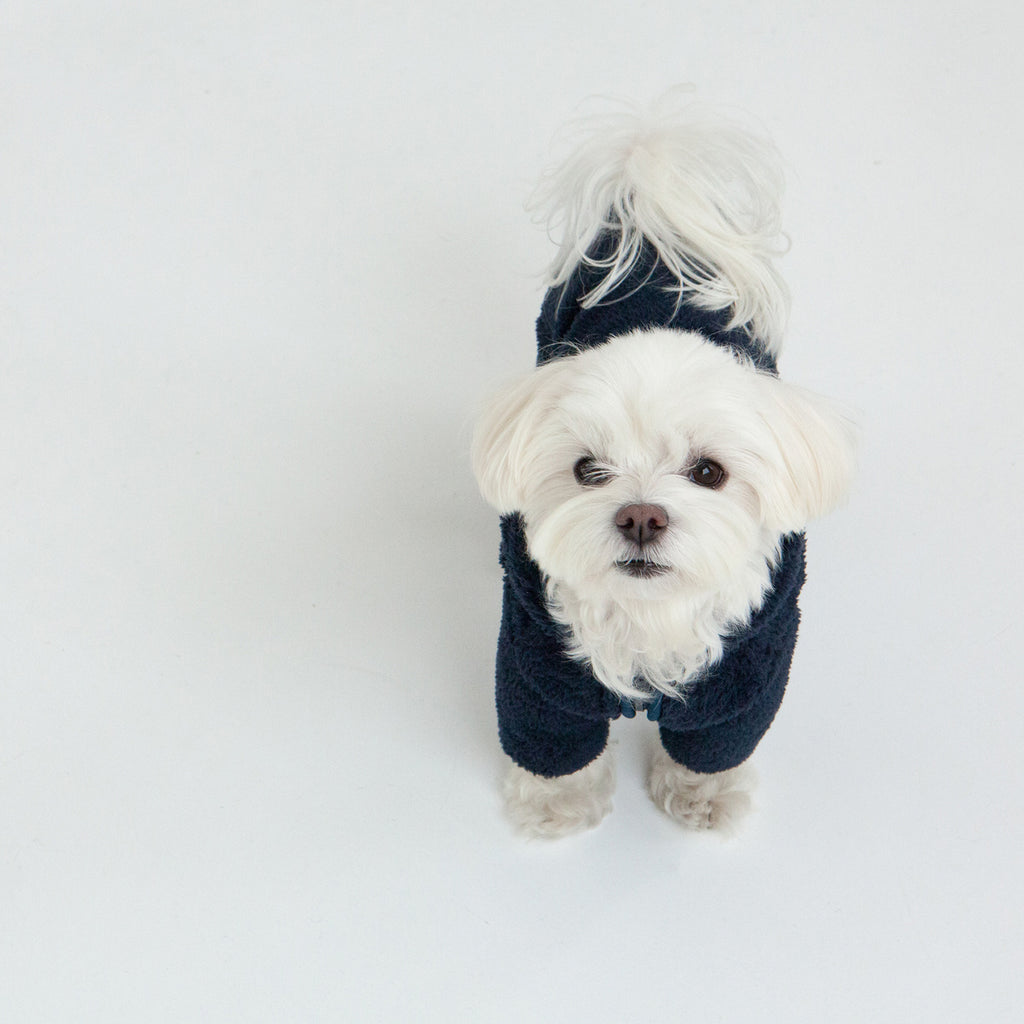 Boa Fleece All-in-One in Navy (FINAL SALE) Apparel DENTISTS APPOINTMENT   