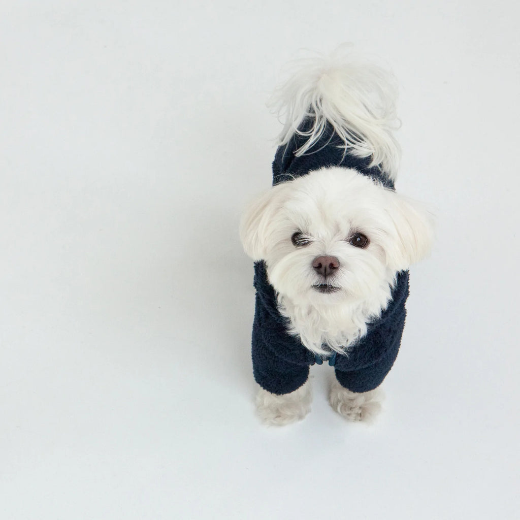 Boa Fleece Onesie in Navy (Dog & Co. Exclusive) Wear DENTISTS APPOINTMENT   
