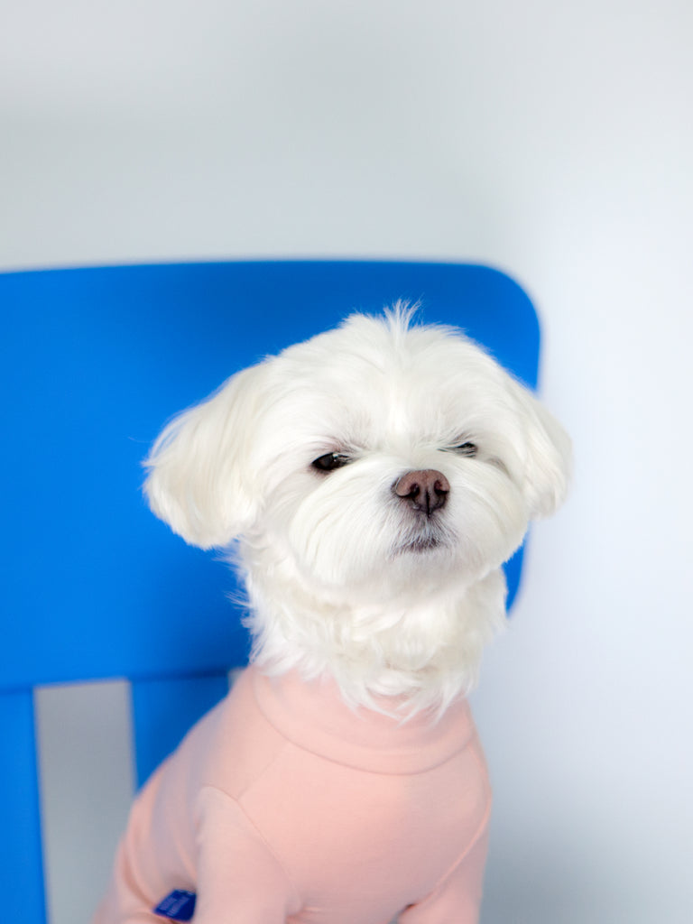 Body Warm All-in-One in Pink (FINAL SALE) Wear DENTISTS APPOINTMENT   