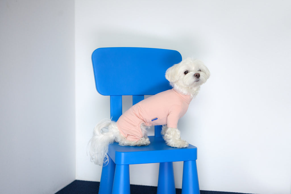 Body Warm All-in-One in Pink (FINAL SALE) Wear DENTISTS APPOINTMENT   