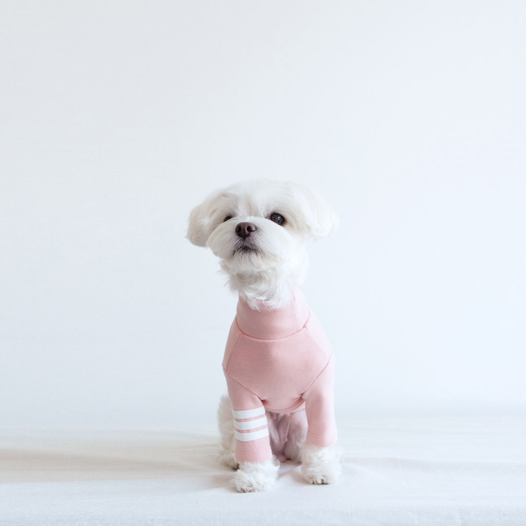 DENTISTS APPOINTMENT | Striped Point Turtleneck in Soft Pink Apparel DENTISTS APPOINTMENT   