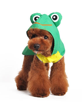 Frog Raincoat in Green Wear DOGO   