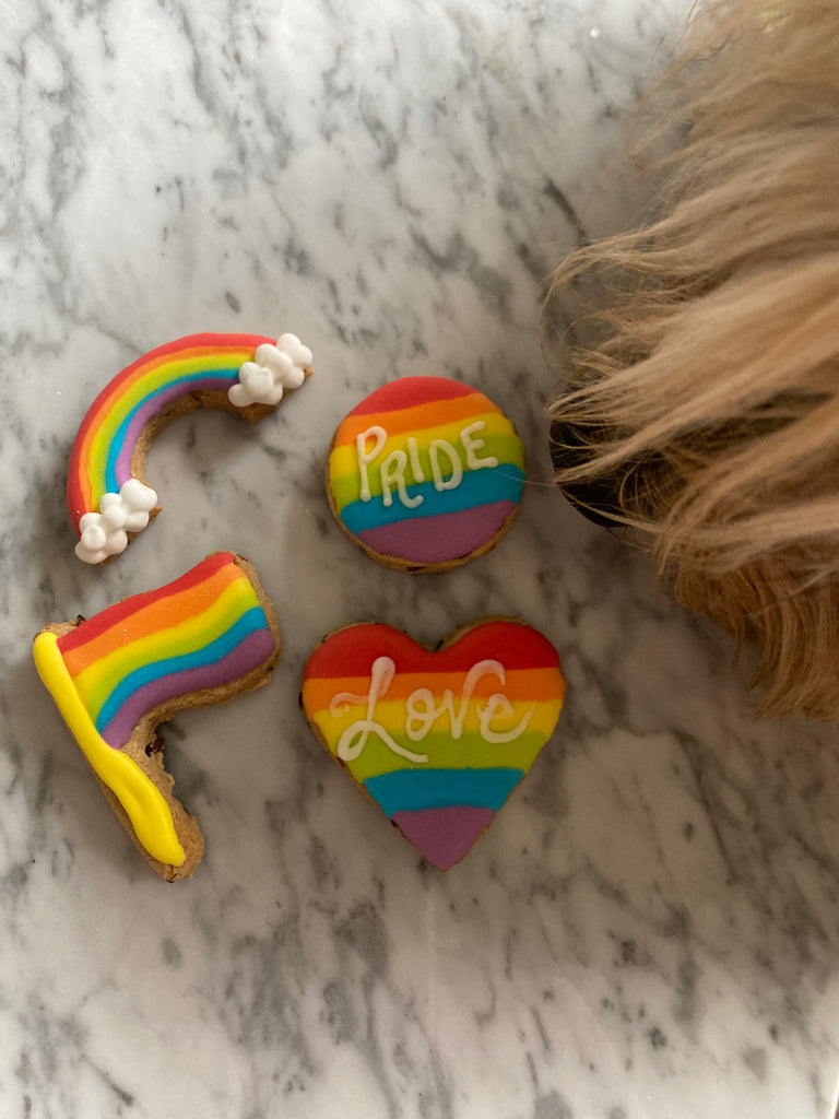 Pride Dog Cookie Gift Pack Eat DOGGIE EXPRESS   