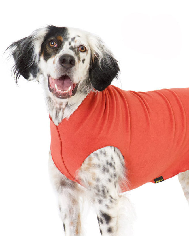 Pullover Stretch Dog Fleece in Paprika Wear GOLD PAW   