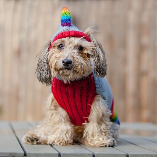 PERUVIAN KNITS | Magical Unicorn Sweater Apparel PERUVIAN KNITS   