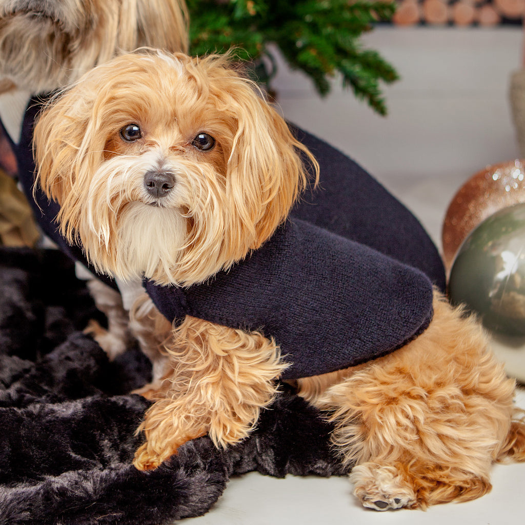 The Marmalady Cashmere Dog Hoodie in Midnight (Made in NYC) (FINAL SALE) Wear DOG & CO. COLLECTION   