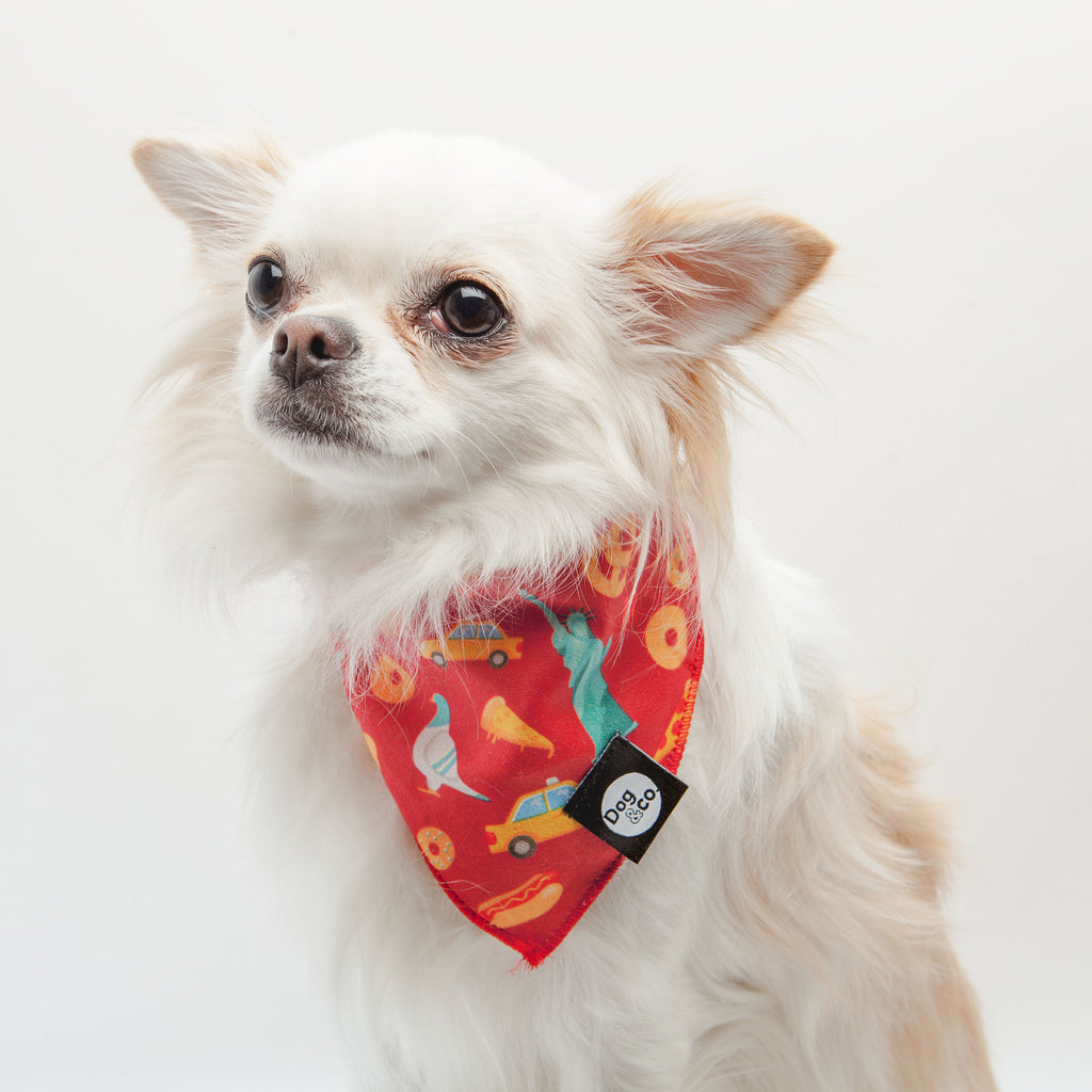 Nutty for New York Dog Bandana Eat DOG & CO. COLLECTION   