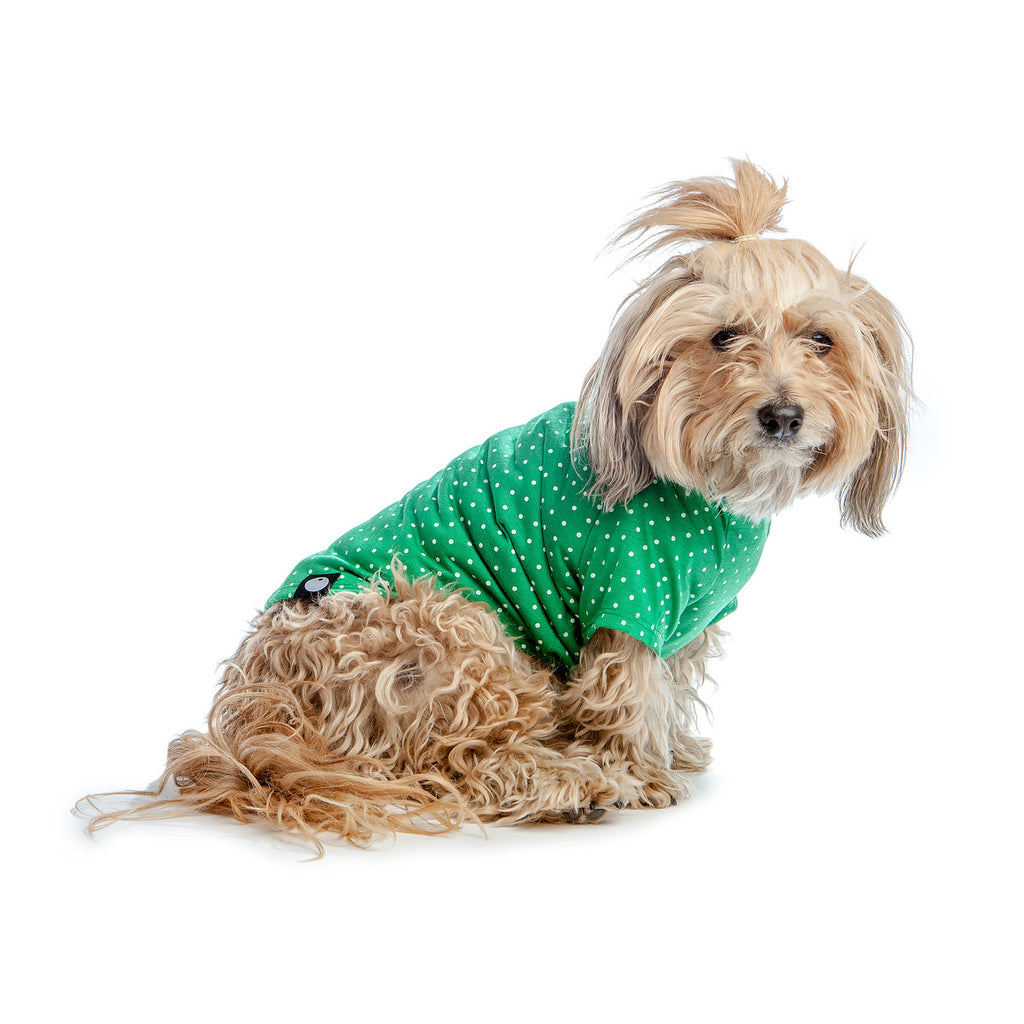 DOG & CO. | Perfect T in Kelly Green Dot Apparel DOG & CO. COLLECTION   