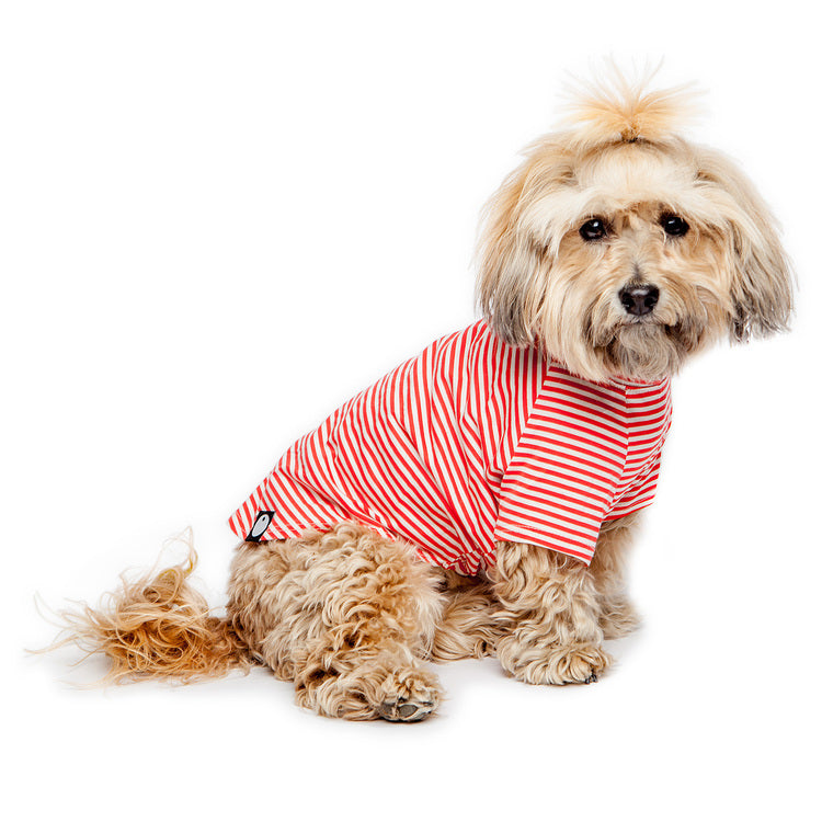 DOG & CO. | Perfect T in Red & White Stripe Apparel DOG & CO. COLLECTION   