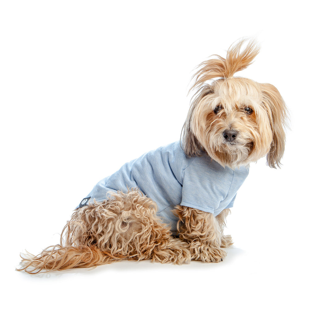 DOG & CO. | Perfect T in Light Blue Stretch Apparel DOG & CO. COLLECTION   