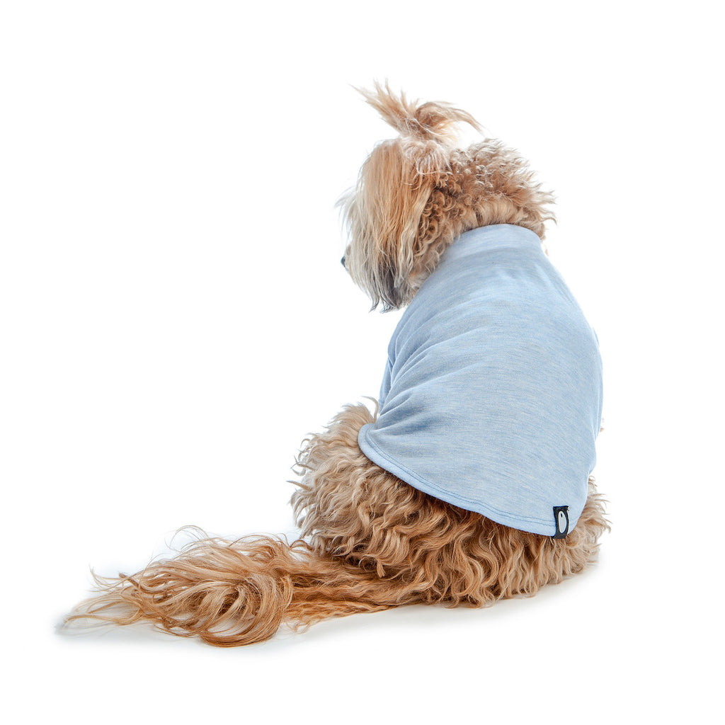 DOG & CO. | Perfect T in Light Blue Stretch Apparel DOG & CO. COLLECTION   