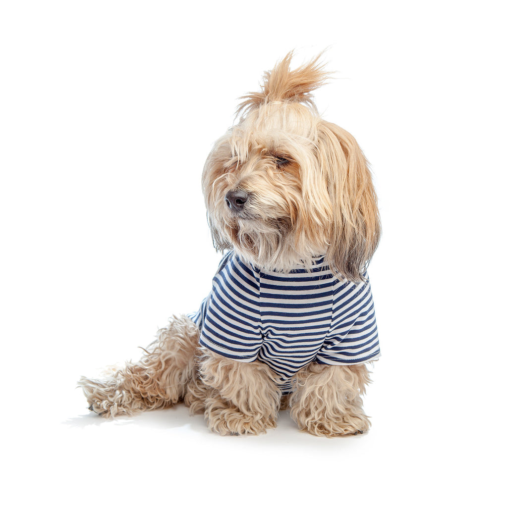 DOG & CO. | Perfect T in Navy & White Sailor Stripe Apparel DOG & CO. COLLECTION   