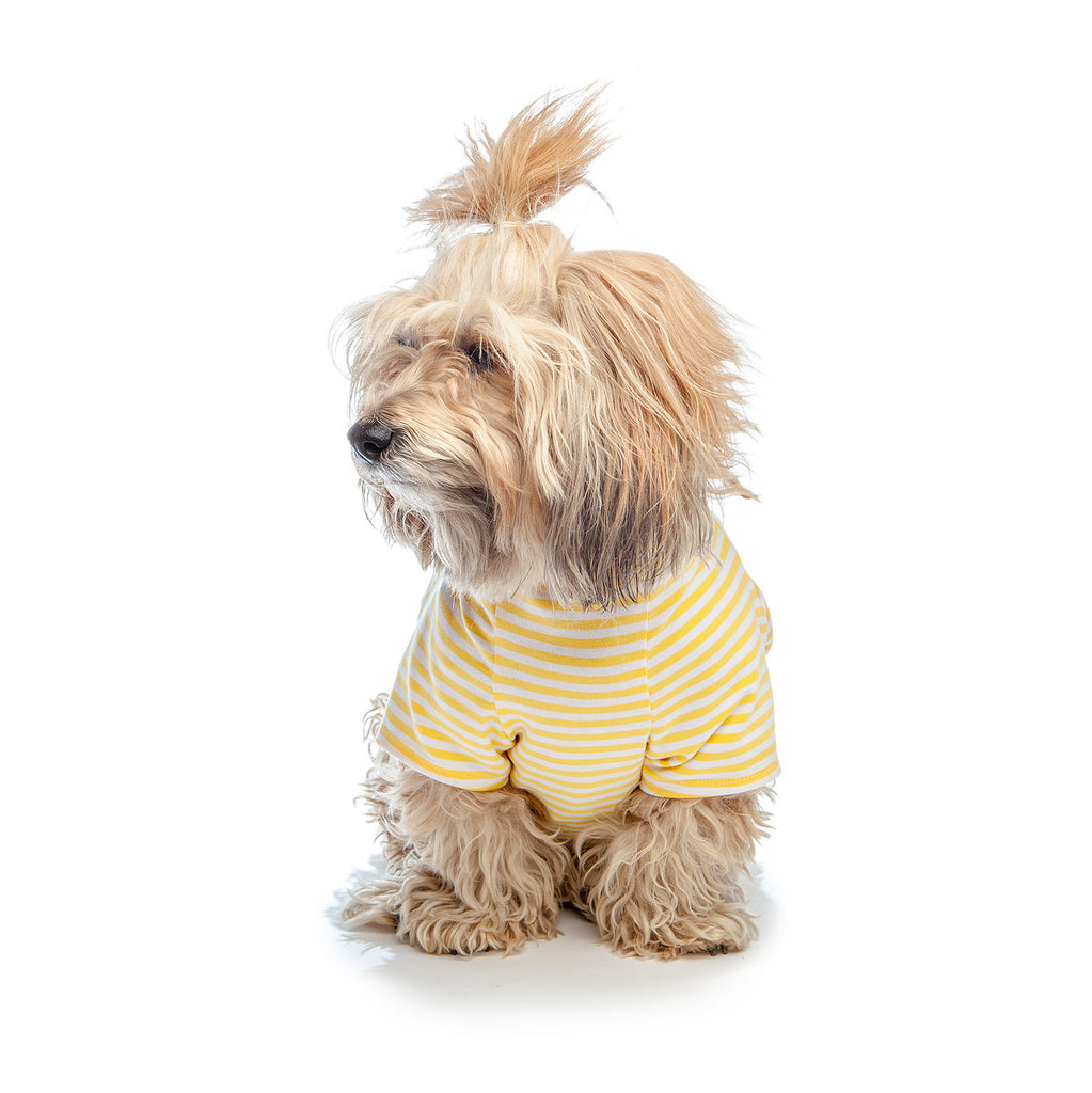 DOG & CO. | Perfect T in Sunshine Yellow & White Stripe Apparel DOG & CO. COLLECTION   