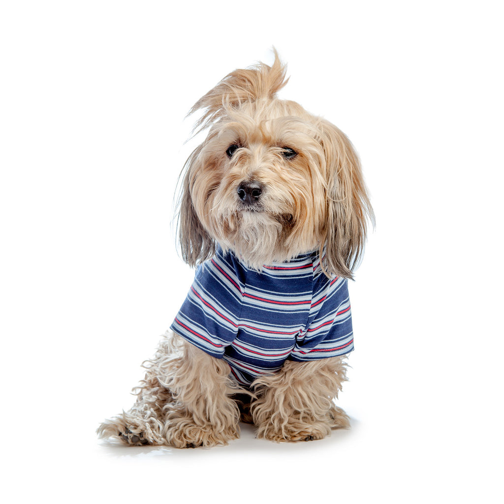 DOG & CO. | Perfect T in Vintage Blue & Red Stripe Apparel DOG & CO. COLLECTION   