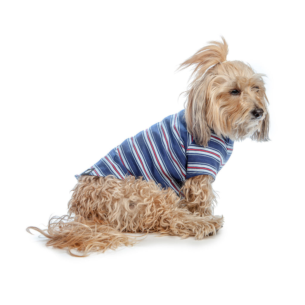 DOG & CO. | Perfect T in Vintage Blue & Red Stripe Apparel DOG & CO. COLLECTION   
