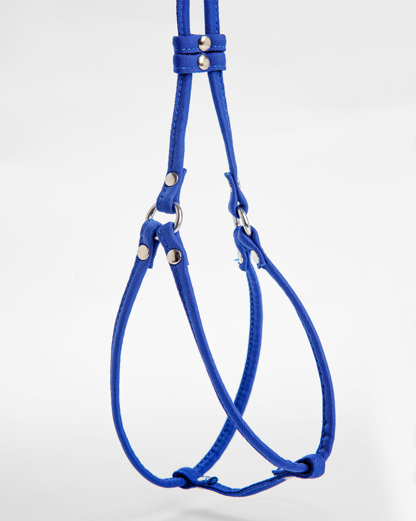 Nylon Step-In Dog Harness in Cobalt Blue (Made in the USA) WALK DOG & CO.   