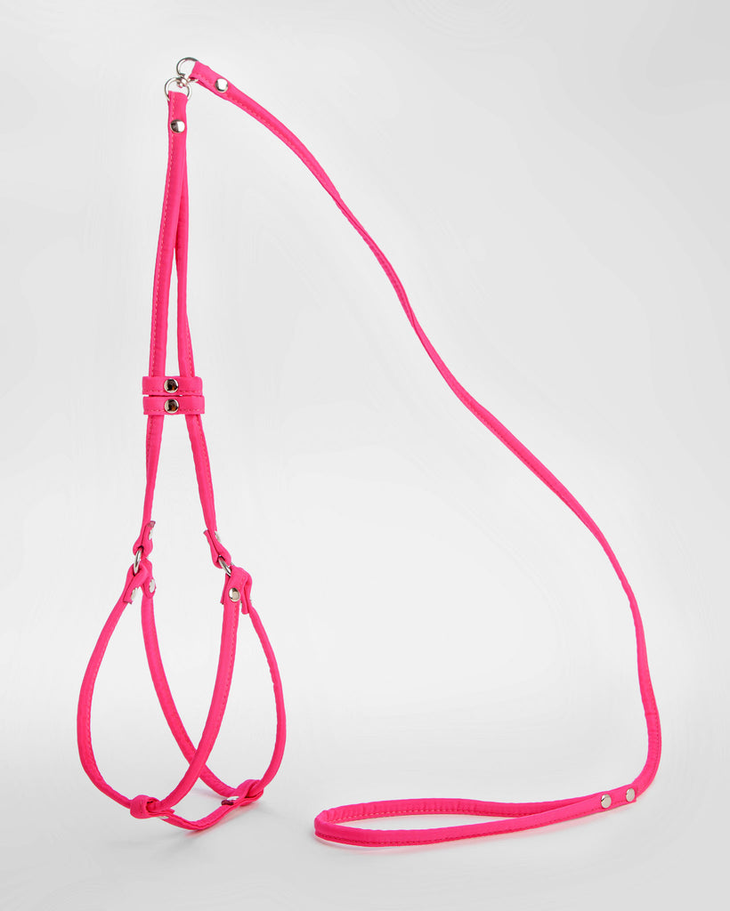 Step-In Adjustable Dog Harness in Neon Pink (Made in the USA) WALK DOG & CO.   