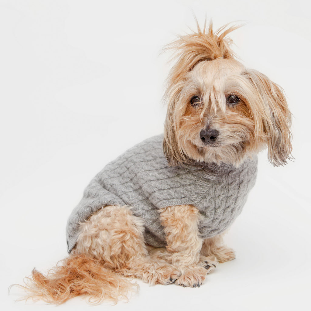 The Topo Cashmere Cable Knit Dog Sweater in Brume Grey Made in NYC